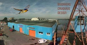 fenix_Cruquius biodivers design
